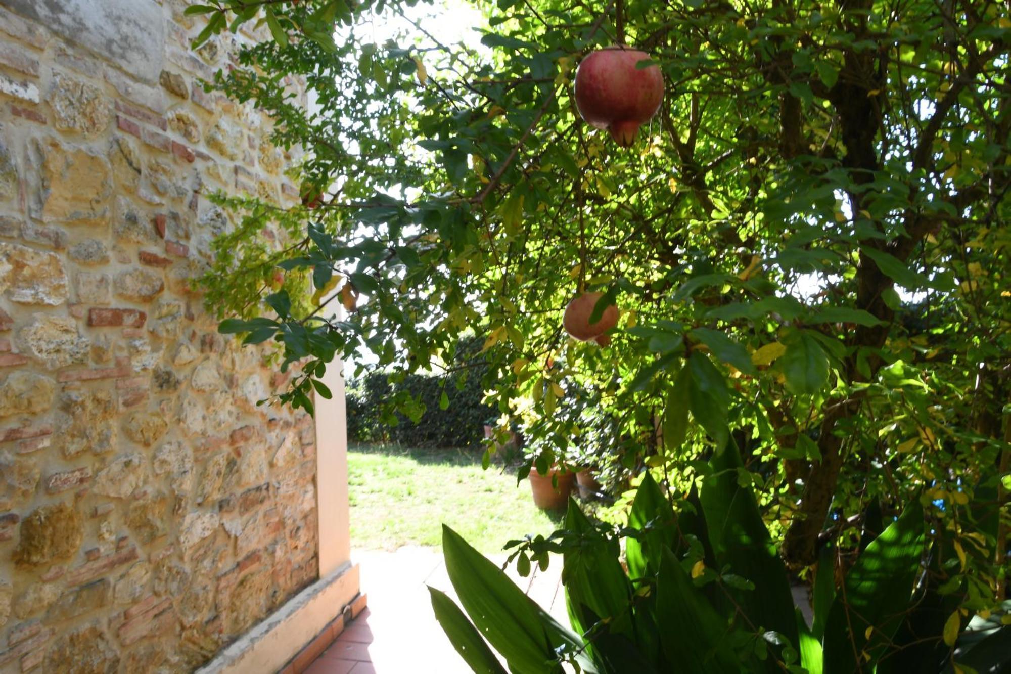 Podere Le Monache モンタイオーネ エクステリア 写真